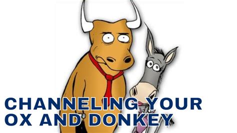  The Ox and the Donkey: การผจญภัยสุดทึ่งของสัตว์สองชนิดที่ไม่น่าจะคาดคิด